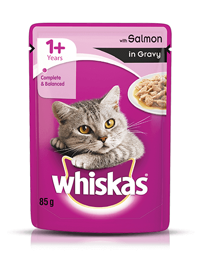 Whiskas Adult - Wet Meal Salmon in Gravy - Curious Cat Company