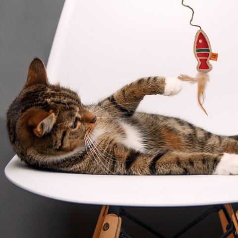 Scandi Fish Wand Toy - Curious Cat Company - Cat Toys