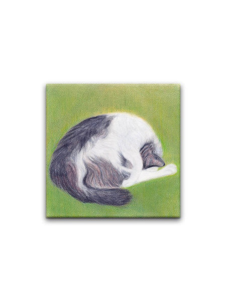 Sleeping Cats - Set of 4 Coasters - Curious Cat Company - Coasters