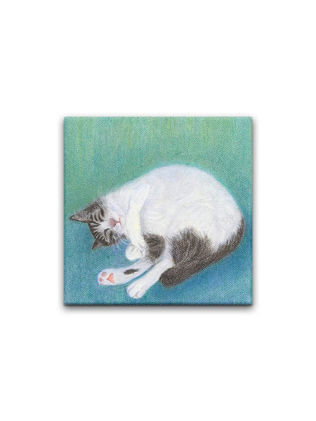 Sleeping Cats - Set of 4 Coasters - Curious Cat Company - Coasters