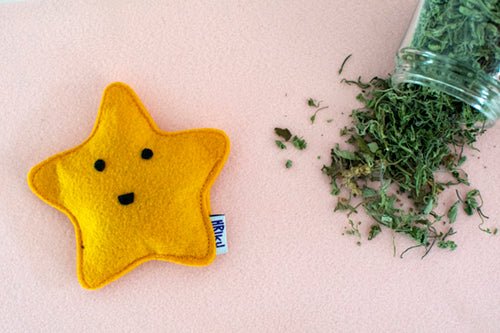 Star - Catnip Toy - Curious Cat Company - Cat Toys