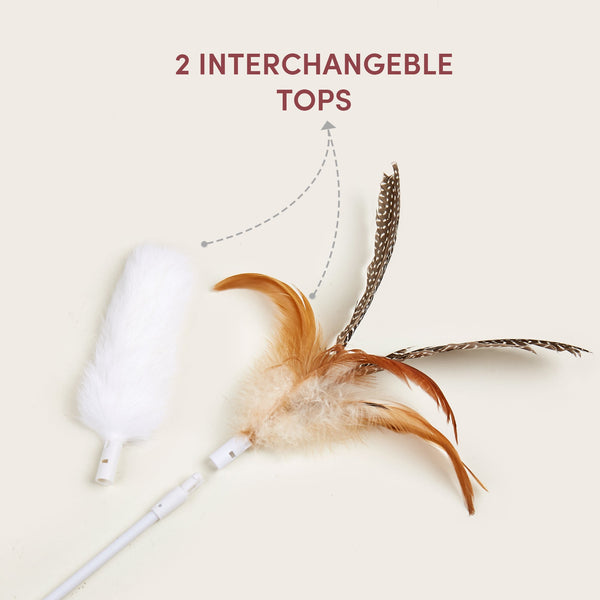 Stick Me Anywhere Toy - Curious Cat Company - Cat Toys