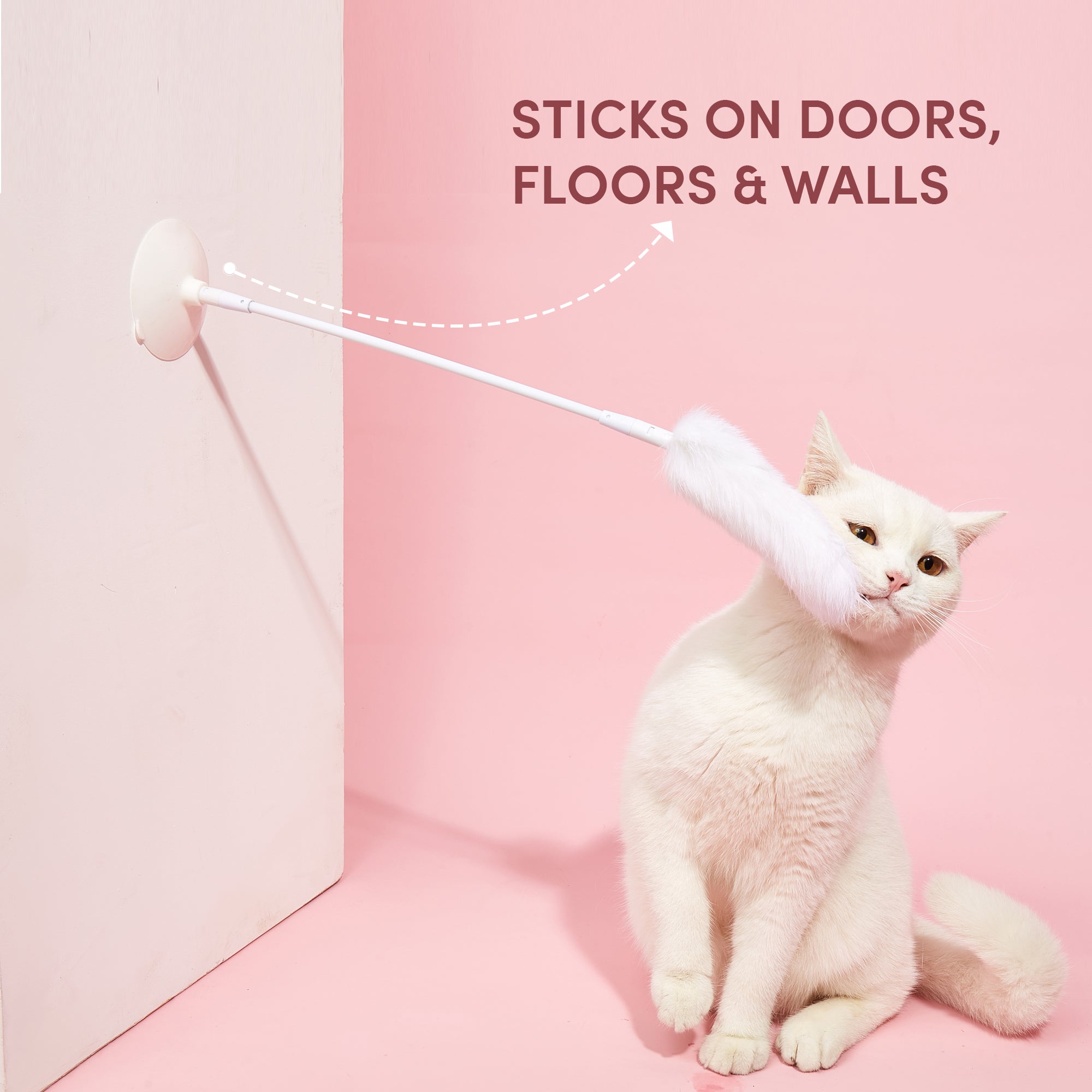 Stick Me Anywhere Toy - Curious Cat Company - Cat Toys