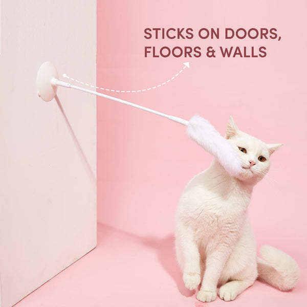 Stick Me Anywhere Toy - Curious Cat Company - Cat Toys