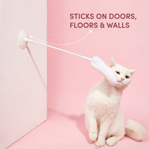 Stick Me Anywhere Toy - Curious Cat Company - Cat Toys