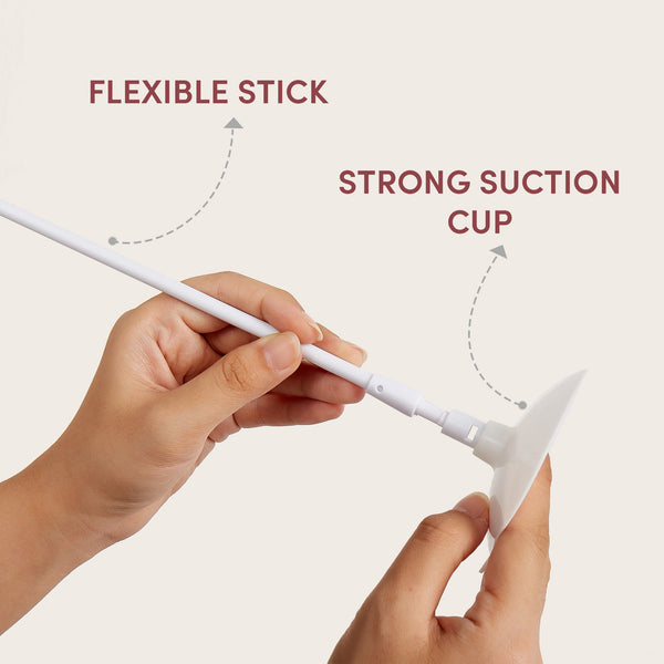 Stick Me Anywhere Toy - Curious Cat Company - Cat Toys