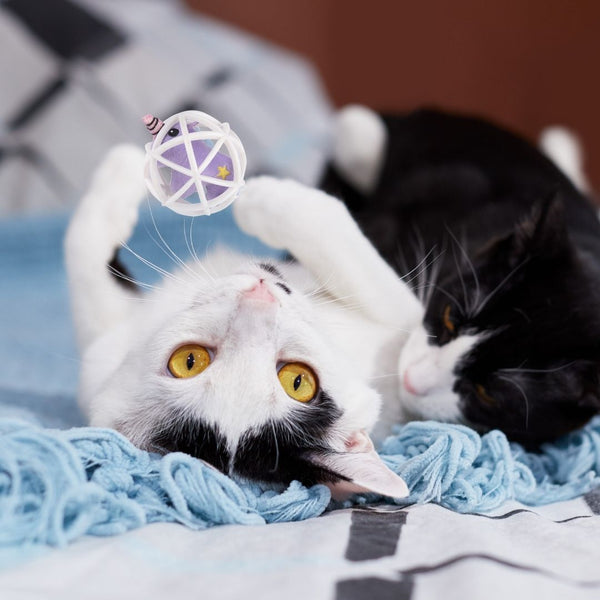 Unicorn with Catnip Ball - Curious Cat Company - Cat Toys