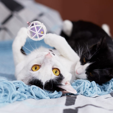 Unicorn with Catnip Ball - Curious Cat Company - Cat Toys