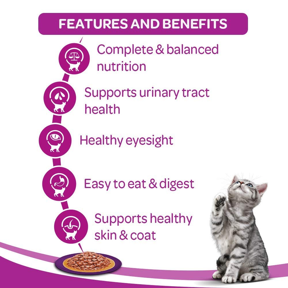 Whiskas Adult - Food Fish Selection (Wet) - Curious Cat Company - Whiskas Adult