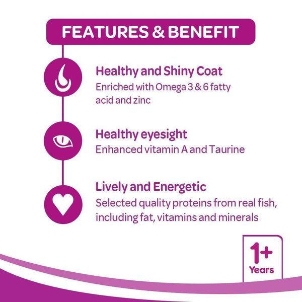 Whiskas Adult - Ocean Fish 7Kg (Dry) - Curious Cat Company - Whiskas Adult