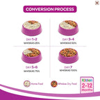 Whiskas Kitten - Junior Ocean Fish with Milk (Dry). - Curious Cat Company - Whiskas Adult