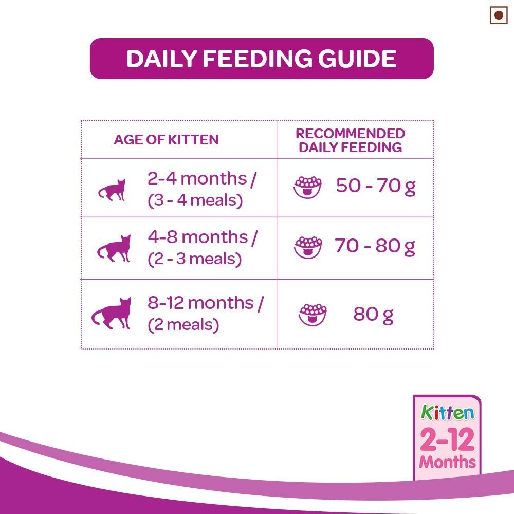 Whiskas Kitten - Junior Ocean Fish with Milk (Dry). - Curious Cat Company - Whiskas Adult