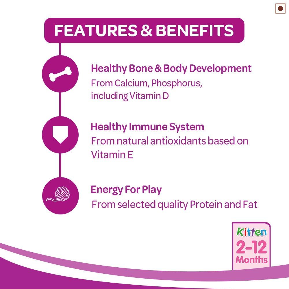 Whiskas Kitten - Junior Ocean Fish with Milk (Dry). - Curious Cat Company - Whiskas Adult