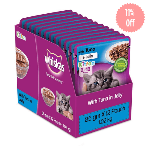 Whiskas Kitten - Wet Meal Tuna in Jelly - Curious Cat Company - Whiskas Kitten